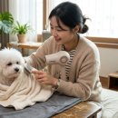 미용실수