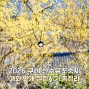 이야기가 있는 풍경 | 2026 구례 산수유축제 개화시기 만개 절정 시기, 풍경길 3코스 후기