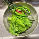 펜션푸름 | 2일 강화도여행 펜션 추천 : 푸름 가득한 숙소 포레스...독채펜션, 강화도캠핑 후기, 강화도가볼만한곳...