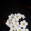 다대포스크린골프 이미지