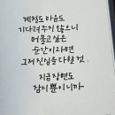 다니엘투어