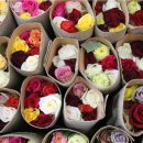 로즈데이 이미지