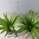 동양워시랜드 이미지