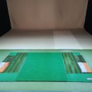 삼호 골프존 이미지