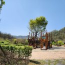 좌구산캠핑장 | 좌구산 휴양림 예약 &amp; 증평 바베큐 숙소 후기 ^^