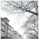 희우정로 40 네이버블로그