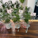 토월한의원 이미지