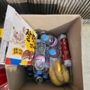 백가네 | 제7회 광주광역시 협회장배 광주, 전남 생활체육 테니스 대회 단체전 참가 후기