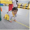 라온제나 태권도 이미지