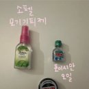 튼튼드림약국 | 태국 치앙마이 쇼핑 리스트 (마야몰, 팜프레쉬 약국, 윈코스메틱, 리행퍼니쳐싸카썽)