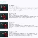 루루하우스 이미지