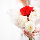 바로인연결혼정보 이미지