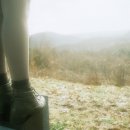 봄, 희망의소리 이미지