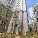 고려동물약품 | 17년 원조 해충방역업체의 고백: "약품보다 중요한 것은 기밀성입니다"