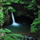 1234피시 이미지