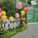 엄지공주