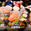 소랑in제주 | 제주 가볼만한곳 소품샵 소랑아시 기념품 구입 후기