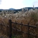 구개농장 | 제주도관광버스 대절로 단체여행코스 즐기기찜