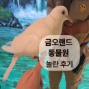 금오 | 구미 아이랑 가볼만한곳｜금오랜드 동물원 & 체험관 후기