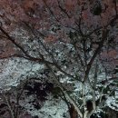 (주)정원아이티 이미지