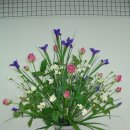 밀드플레 이미지