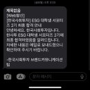 [대외활동] 한국사회투자 ESG 서포터즈 서류/면접 최종 합격 후기⋆⁺₊⋆