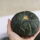 신계농장 이미지