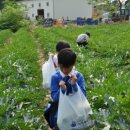 다솔지역아동센터 이미지