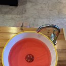 손곡초등학교 | [용인] 중국 전통 마사지를 받을 수 있는 수지구 스포츠마사지 전문점 추천!! : 동천하우스