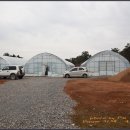 동원농장 2 이미지