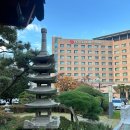 만덕2로 | [맛집]부산 상견례 &#39;호텔농심 내당&#39; 대가족 후기(feat.러셔스플라워 호접란)