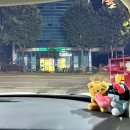컴인워시 강남본점 | [컴인워시 강남본점] 강남 노터치세차장 컴인워시 가격, 24시 자동세차장 내돈내산 후기