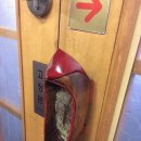 심야광장 이미지