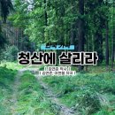 가곡 청산에 살리라-손태진 이미지