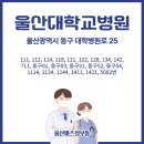 01-122 동구 이미지