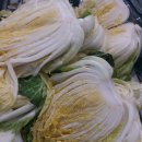 해주물산 이미지