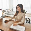 세지개발 이미지