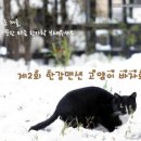 한강크레인 이미지
