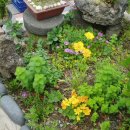 하얀민박 이미지