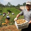 두지농장 이미지