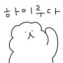 스티브앤스텔라 이미지