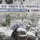 분당우성시장 이미지