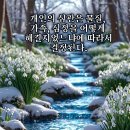 1구역 [3/1(일) 사또요시에양(사또마사히꼬장로님,사또도요꼬권사님 딸님)과 하남교회 김효신군이 약혼식 축하드립니다~] 이미지