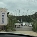 서울근교 경기도 파주 타프존있는 자장캠핑장 쿠디13.6 내돈내산 후기 :)