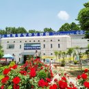 통일로 414번길 네이버블로그