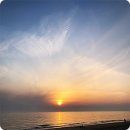 노라부러2 이미지