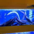 장풍식당 이미지