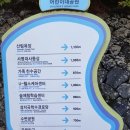 부산초등학교 이미지