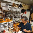 읍내스테이 이미지