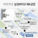 경포19호
